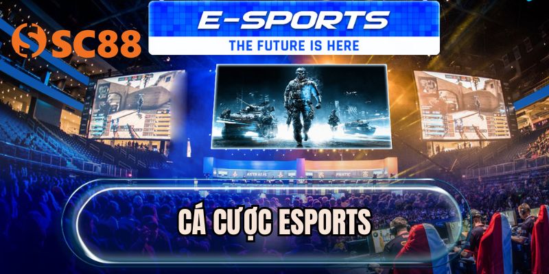 Cá Cược eSports